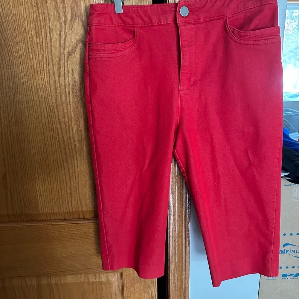 Christopher & Banks Red Garment